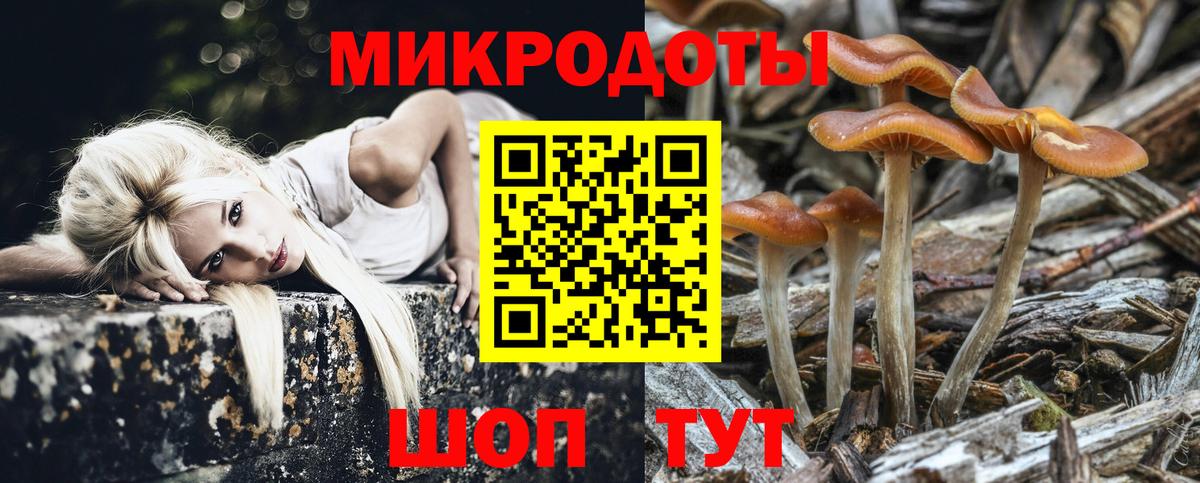 Псилоцибиновые грибы прущие грибы Менделеевск
